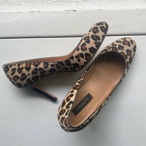 Ann Taylor calf hair heels - cheetah print - Size 8